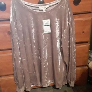 Champagne color velvet shirt